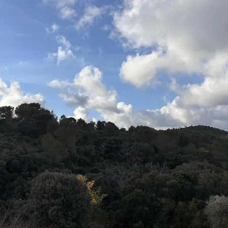 Apartment Exceptional Sea View And Beaches 30 Meters Away *